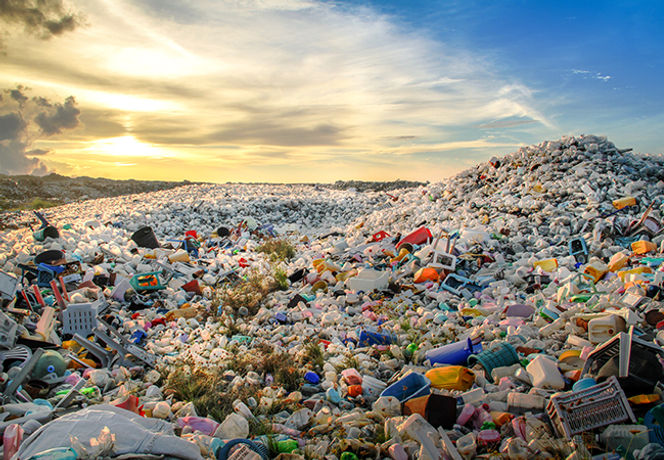 Plastic waste collection bins